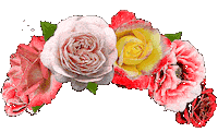 Flower Rose Sticker by SingerTurkiye