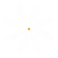 Happy Summer Sticker