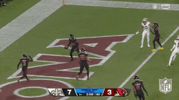 Arizona Cardinals Football GIF by NFL