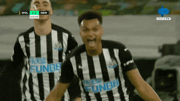 Fun Celebration GIF by MolaTV