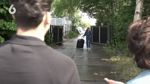 giphy.gif