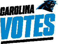 Voting Carolina Panthers Sticker by NFL