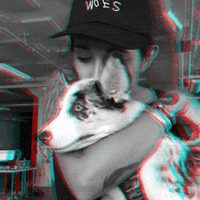 GIF by GIPHY CAM