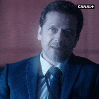 Serie Raymond GIF by CANAL+