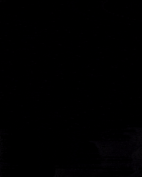 evoleneofficial evolene GIF