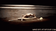 mouse trap GIF