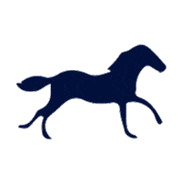 gulfstreampark horse racing gulfstream park 1st racing 1st bet Sticker