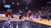 flying liga endesa GIF by ACB