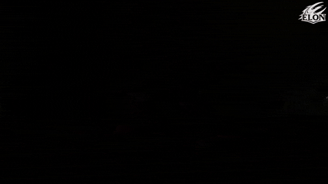 Football GIF by Elon Phoenix