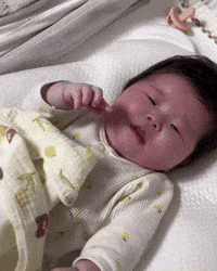 Roseglovingera GIF