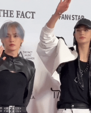Stray Kids Skz GIF