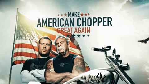 discovery channel lol GIF by Discovery Europe