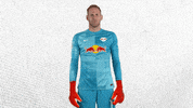 The Wall No GIF by RB Leipzig