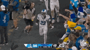 National Football League GIF by NFL