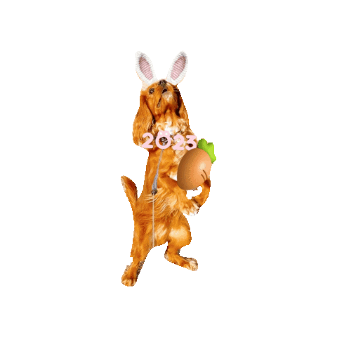 Happy New Year Sticker