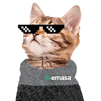 Gato Sticker by Emasa