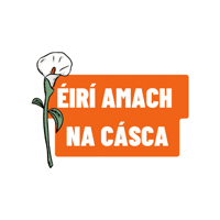 United Ireland Sticker by Sinn Féin