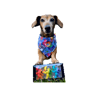 Pride Stitch Sticker by Geekster Pets