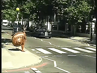 test patience GIF