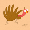 United States Bird GIF by Thomas (Tommy) Kastrati