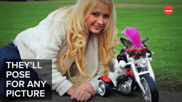 Why Animals Make The Best Friends