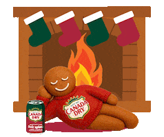 Fireplace Sticker by Canada Dry Ginger Ale