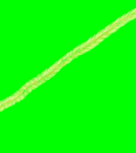 Merry Christmas GIF by Bill Greenhead