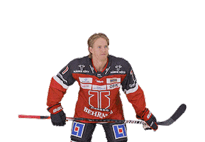 Come On Wtf Sticker by Örebro Hockey