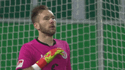 Finger Robin GIF by FC St. Pauli