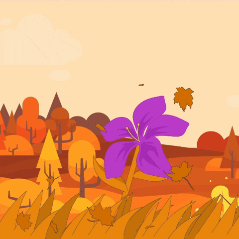 Flower Fall GIF