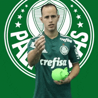 alejandro guerra rico GIF by SE Palmeiras