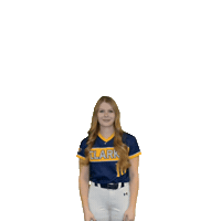 Clarke Softball Sticker by Clarke University