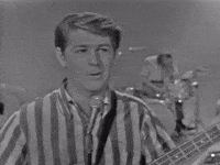The Beach Boys GIF