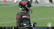 Matt Prater Football GIF by NFL