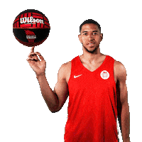 Myleshesson Sticker by Basketball England