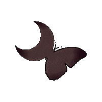 Logo Butterfly Sticker
