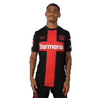 Bayer 04 Football Sticker by Bayer 04 Leverkusen