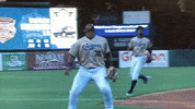 kccougars out popup kccougars GIF
