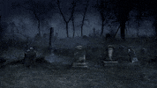 AtmosFX halloween skeleton atmosfx digital decorations GIF