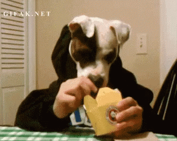 Chinese Food GIF by memecandy
