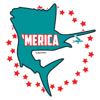 Usa America Sticker by Put Me Outside