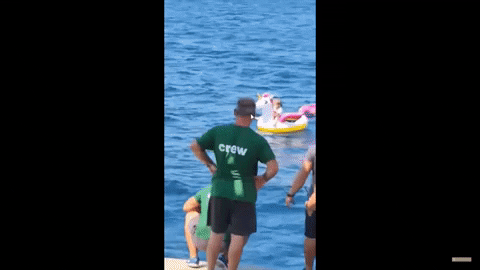 nsctotal giphygifmaker GIF