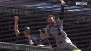 Celebrate New York Yankees GIF by MLB