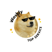 Dog Top Sticker by Alvato Luxury Detailing
