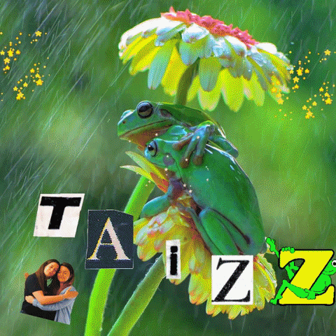 alikargar-taizz giphygifmaker giphyattribution Tazz GIF