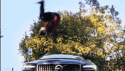 AmplifyProcurement flip nailed it consulting front flip GIF