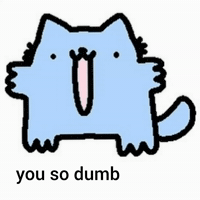 Spainnubcat GIF
