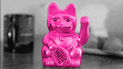 Lucky Cat GIF by T-Mobile Puerto Rico