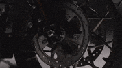 Brand Adventure GIF by Harley-Davidson