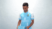 Fc GIF by ChemnitzerFC